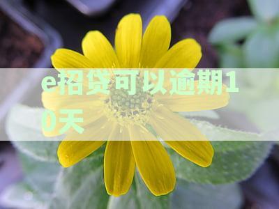e招贷逾期10天上征信：原因、后果及解决方法全面解析